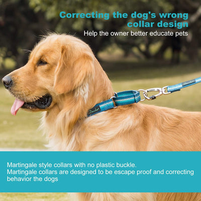 Martingale Collar Dog Collar No Pull Pet Collar Heavy Duty Dog Collar Medium and Large Dogs (Large, Turquoise)