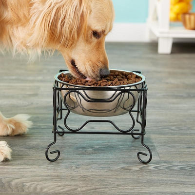 Elevated Stainless Steel Feeder Bowl with Stand
