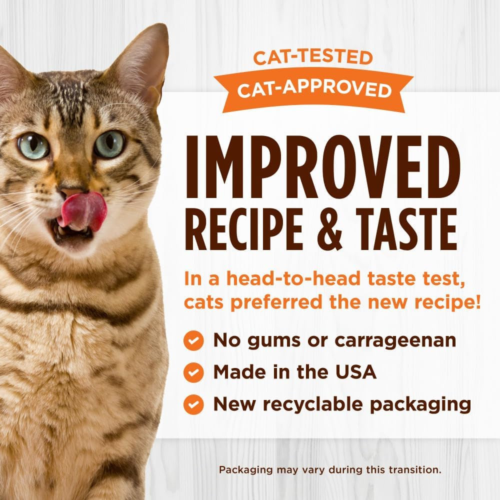 (Pack of 12)Original Grain Free Real Chicken Recipe Natural Wet Canned Cat Food, 5.5 Ounce (Pack of 12)