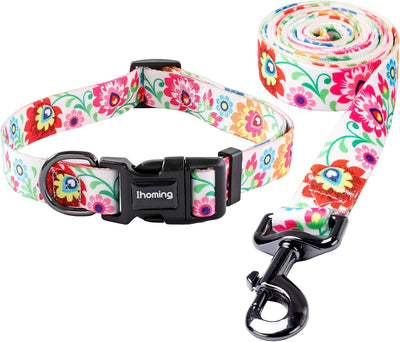Dog Collar and Leash Set