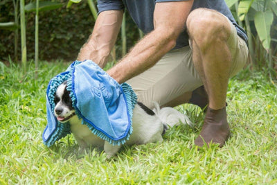 Quick Dry Towel for Dogs | Ultra Absorbent | Extra Large 35X15 Size for All Breeds | Comfortable Hand Pockets 