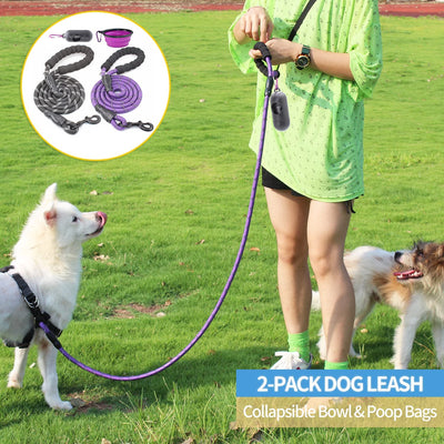 2 Packs 5FT Dog Leash with Comfortable Padded Handle and Highly Reflective 
