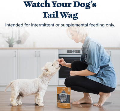 Wilderness Trail Treats High Protein Grain Free Dog Biscuits Crunchy Dog Treats, Turkey Recipe, 24-Oz Bag