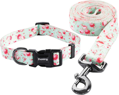 Dog Collar and Leash Set