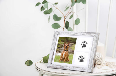 Dog Paw Print Kit Frame - Pet Memorial Picture Frame with Pawprints - Dog or Cat Paw Print Kit, Pet Keepsake Picture Frame for Pet Love Dog Memorial Gifts for Paw Print Frame, Sympathy Gift