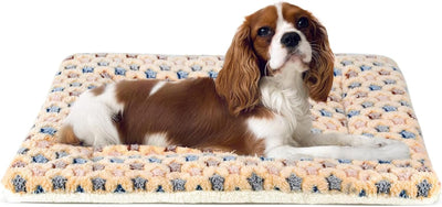 Dog Crate Pad - Ultra Soft Pet Bed with Cute Star Print, , Reversible Fleece Kennel Liner, Cat Bed 23 X 18 Inch Brown