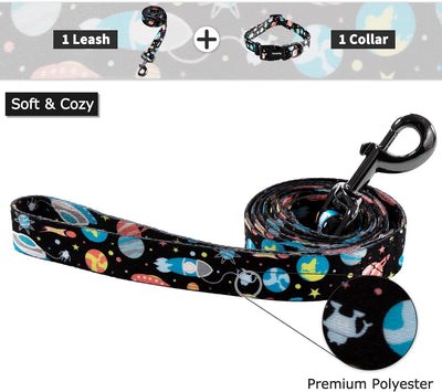Dog Collar and Leash Set