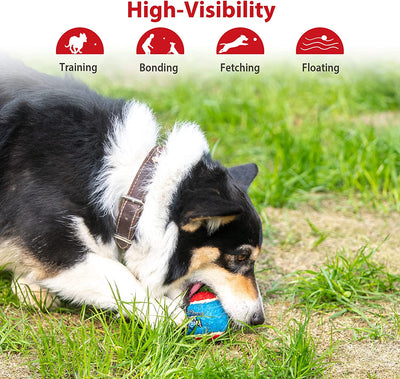 (3 Pack)Tennis Balls for Dogs, Squeaky Dog Tennis Balls for Exercise, High Bouncy Dog Balls Bright Colors 2.5 Inches