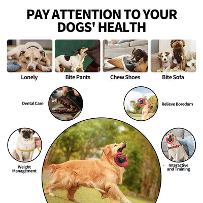 Extreme Tough Dog Chew Toys for Aggressive Chewers,Squeaky Toys 