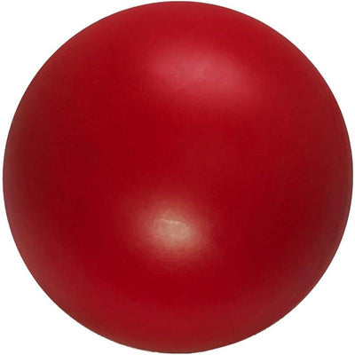 Virtually Indestructible Ball for Dogs, 10-Inch