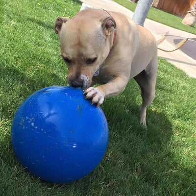 Virtually Indestructible Ball for Dogs, 10-Inch