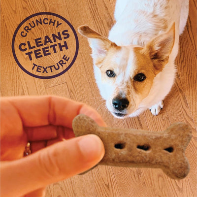 Medium to Large Dog Treats Wellness P-Nuttier ,Natural, Training Treats, Peanut Butter Flavor, Large Size, (6 Pound Box)