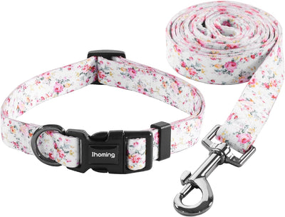 Dog Collar and Leash Set