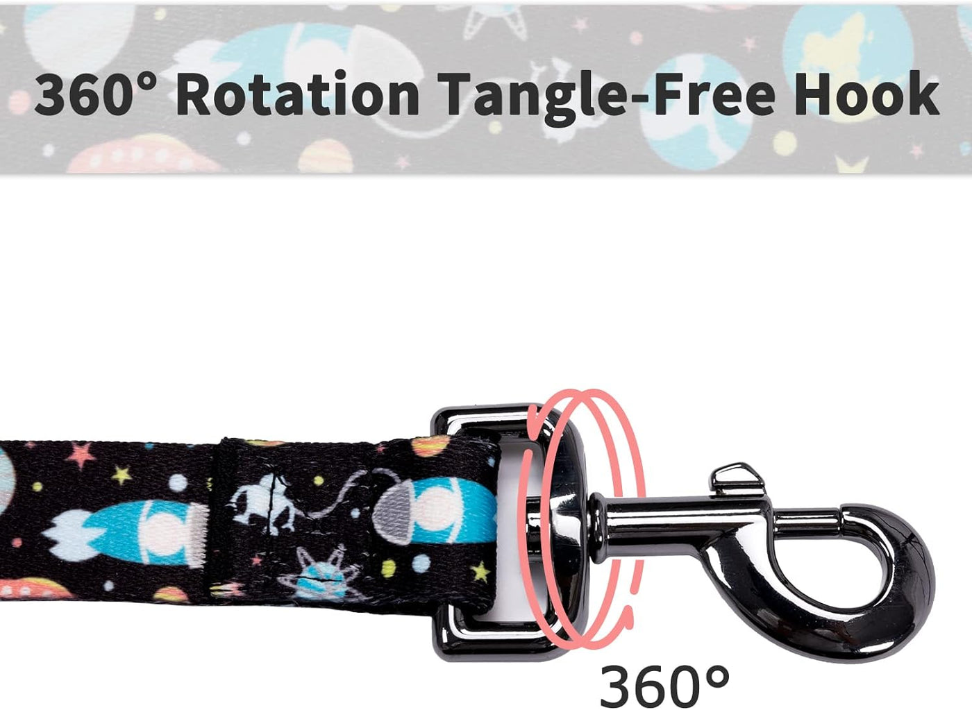 Dog Collar and Leash Set