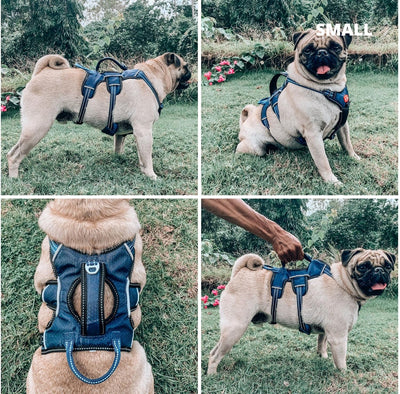 Tuff Pupper Escape Proof No Escape Padded Dog Harness