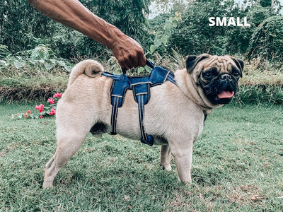 Tuff Pupper Escape Proof No Escape Padded Dog Harness