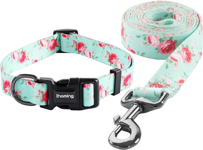 Dog Collar and Leash Set