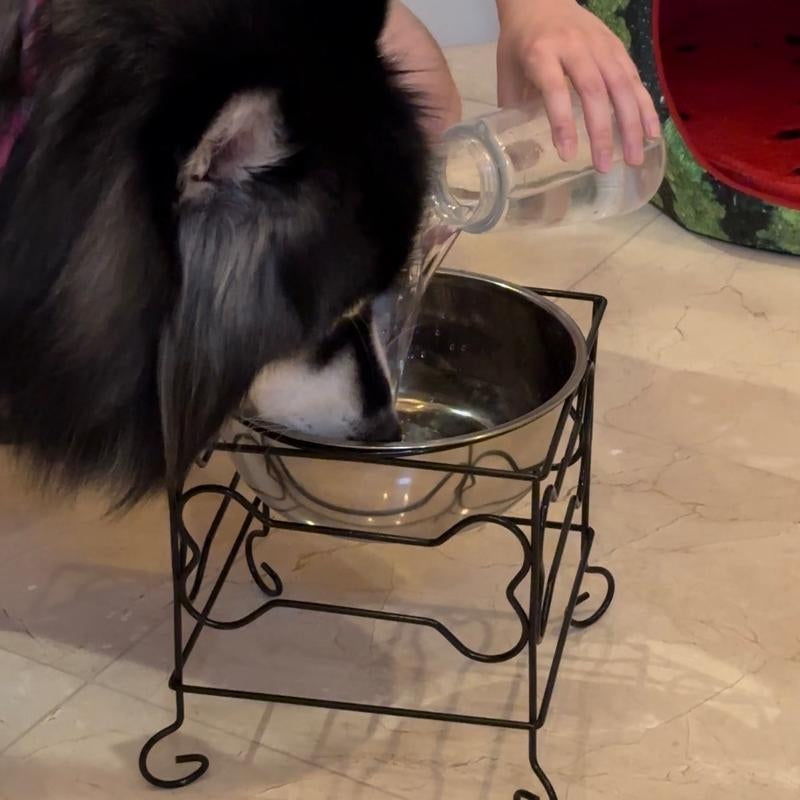 Elevated Stainless Steel Feeder Bowl with Stand