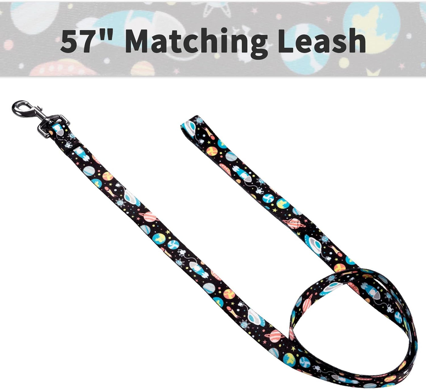 Dog Collar and Leash Set