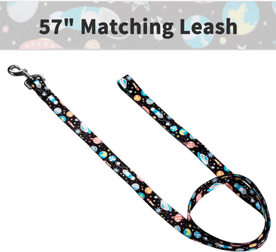 Dog Collar and Leash Set