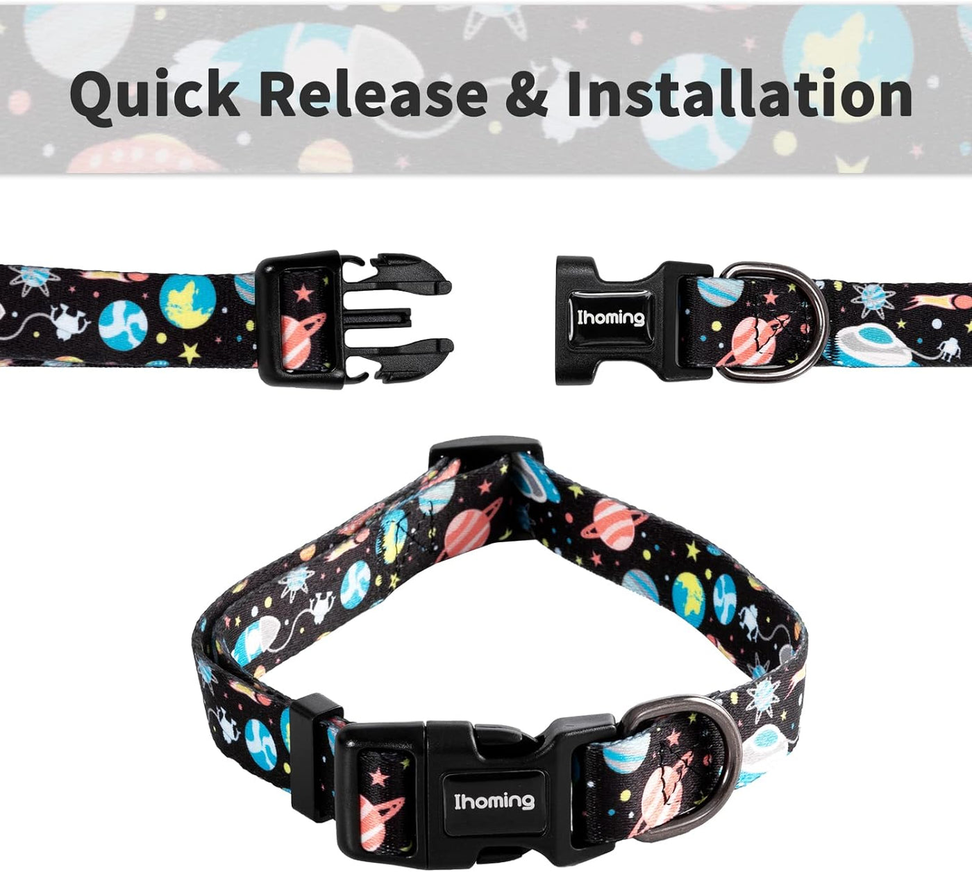 Dog Collar and Leash Set