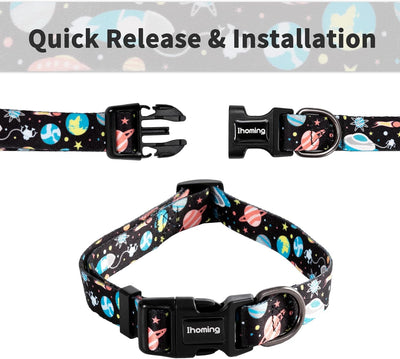 Dog Collar and Leash Set