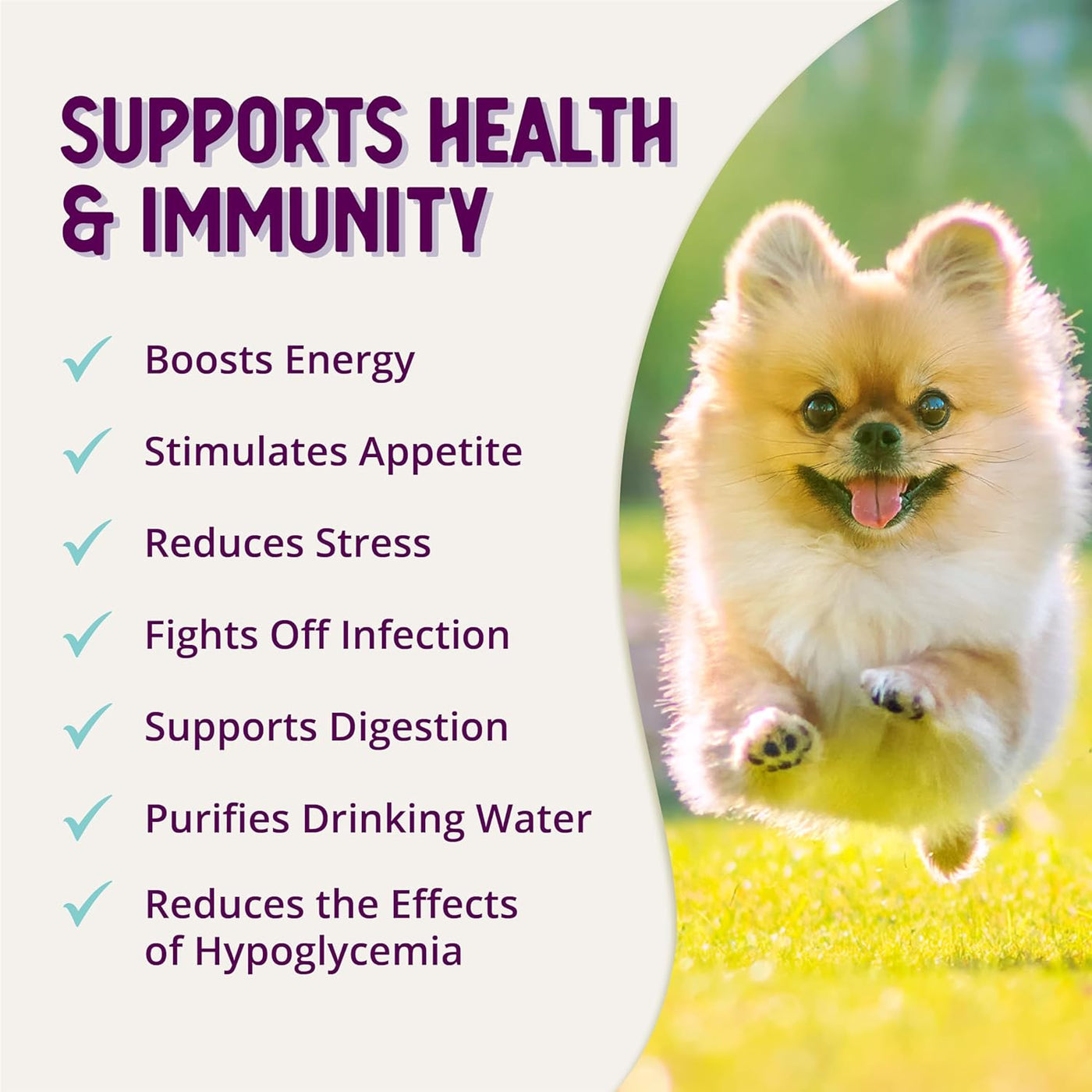 Health Extension Stress Relief Supplement for Dogs, 8Oz - Appetite & Energy Boost, Prevents Hypoglycemia, Enriched with Vitamin B