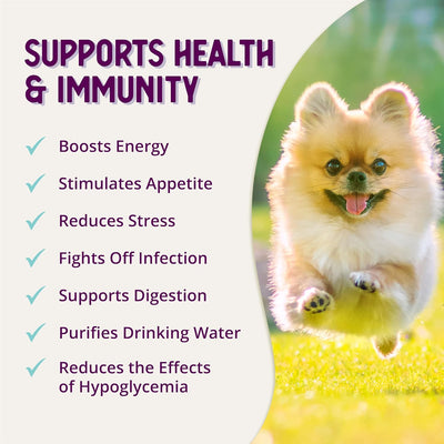 Health Extension Stress Relief Supplement for Dogs, 8Oz - Appetite & Energy Boost, Prevents Hypoglycemia, Enriched with Vitamin B