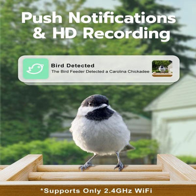 Bird Feeder with Camera Smart Bird Feeder for Outdoors  4MP HD Night Vision Camera 