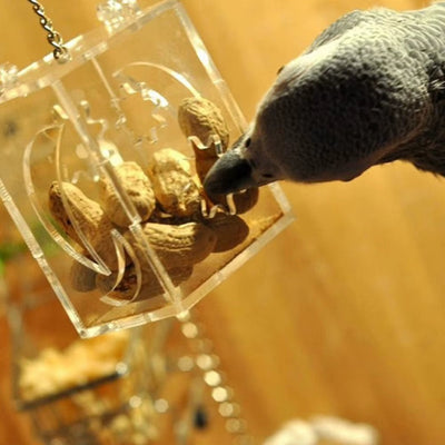ForageFun Hanging Feeder – The Ultimate Treat Toy for Curious Birds
