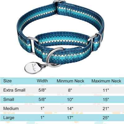 Martingale Collar Dog Collar No Pull Pet Collar Heavy Duty Dog Collar Medium and Large Dogs (Large, Turquoise)