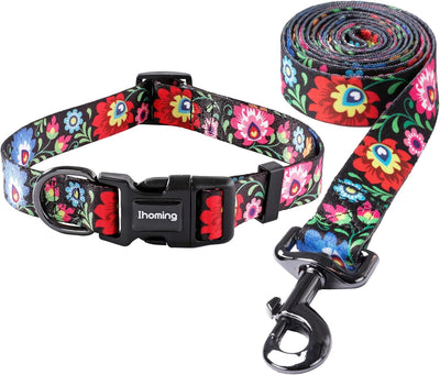 Dog Collar and Leash Set
