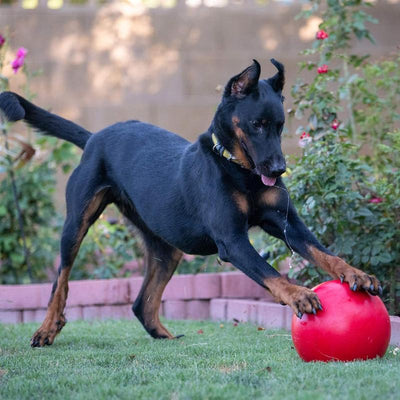 Virtually Indestructible Ball for Dogs, 10-Inch