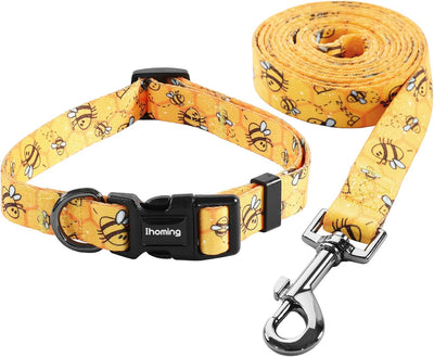 Dog Collar and Leash Set