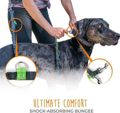 Mighty Paw Hands Free Dog Leash | Bungee Waist Leash for Dog Walking. Pet Running Hands Free Tether for Large, Medium & Small Breeds. Pet Waist Belt (36" - 48") up to 150 Lbs - Gray