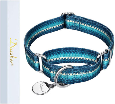 Martingale Collar Dog Collar No Pull Pet Collar Heavy Duty Dog Collar Medium and Large Dogs (Large, Turquoise)