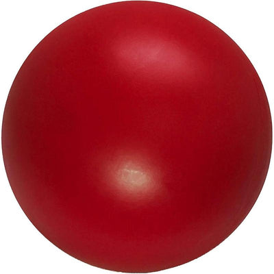 Virtually Indestructible Ball for Dogs, 10-Inch