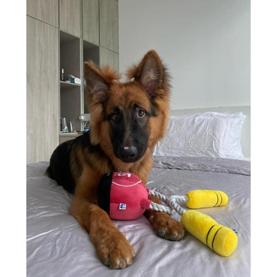 KETTLEBELL TUG ROPE INTERACTIVE TOY