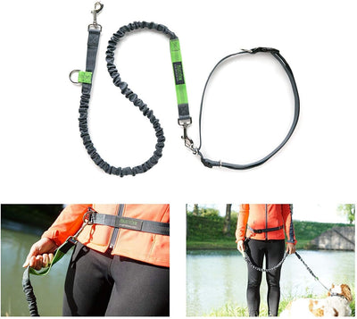 Mighty Paw Hands Free Dog Leash | Bungee Waist Leash for Dog Walking. Pet Running Hands Free Tether for Large, Medium & Small Breeds. Pet Waist Belt (36" - 48") up to 150 Lbs - Gray