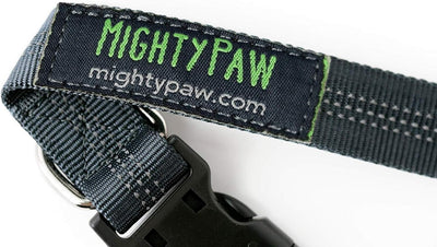 Mighty Paw Hands Free Dog Leash | Bungee Waist Leash for Dog Walking. Pet Running Hands Free Tether for Large, Medium & Small Breeds. Pet Waist Belt (36" - 48") up to 150 Lbs - Gray