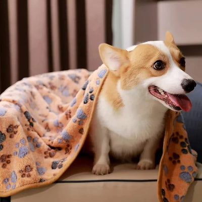 (3 Pack) Blankets Super Soft Fluffy Premium Fleece Pet Blanket Flannel Throw for Dog or Cat (23X16 Inch)