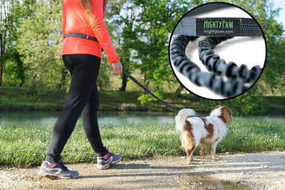 Mighty Paw Hands Free Dog Leash | Bungee Waist Leash for Dog Walking. Pet Running Hands Free Tether for Large, Medium & Small Breeds. Pet Waist Belt (36" - 48") up to 150 Lbs - Gray