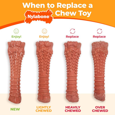 Power Chew Toy for Dogs, Dog Toys for Aggressive Chewers, Bacon Flavor, X-Large