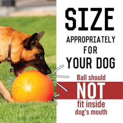 Virtually Indestructible Ball for Dogs, 10-Inch