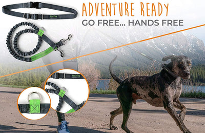 Mighty Paw Hands Free Dog Leash | Bungee Waist Leash for Dog Walking. Pet Running Hands Free Tether for Large, Medium & Small Breeds. Pet Waist Belt (36" - 48") up to 150 Lbs - Gray