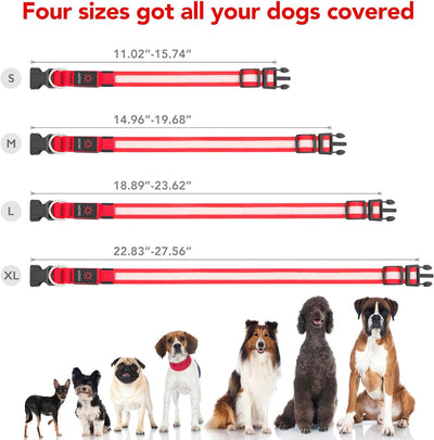LED Light up Dog Collar Adjustable USB Rechargeable Super Bright Safety Light Glowing Collars for Dogs(Medium,Red)