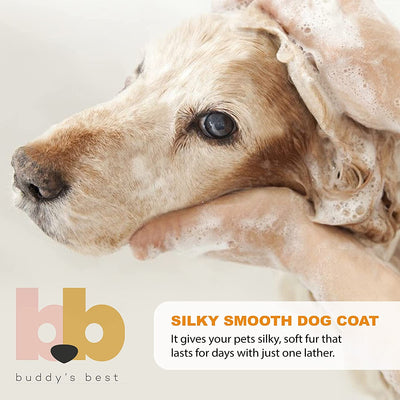 Calming Lavender Dog Shampoo for your Sensitive Canine - Skin-Friendly, Oatmeal Dog Shampoo and Conditioner for Dry and Sensitive Skin - Moisturizing Puppy Wash Shampoo, Calming Lavender Scent, 16Oz