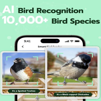 Bird Feeder with Camera Smart Bird Feeder for Outdoors  4MP HD Night Vision Camera 