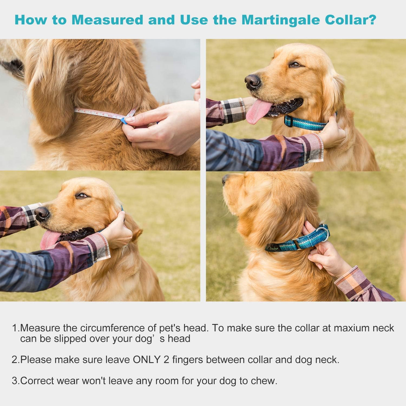 Martingale Collar Dog Collar No Pull Pet Collar Heavy Duty Dog Collar Medium and Large Dogs (Large, Turquoise)