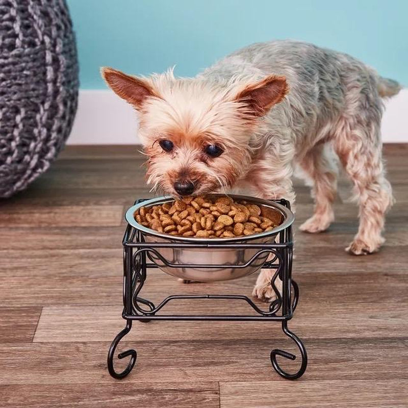 Elevated Stainless Steel Feeder Bowl with Stand
